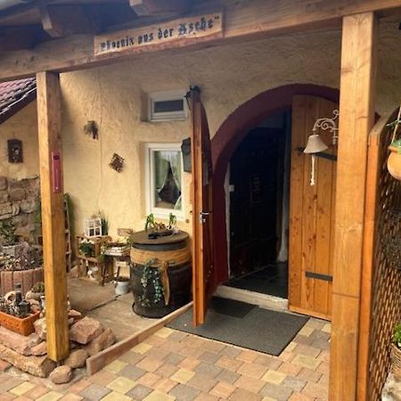 Phoenix Aus Der Asche Rhodt unter Rietburg Exteriör bild