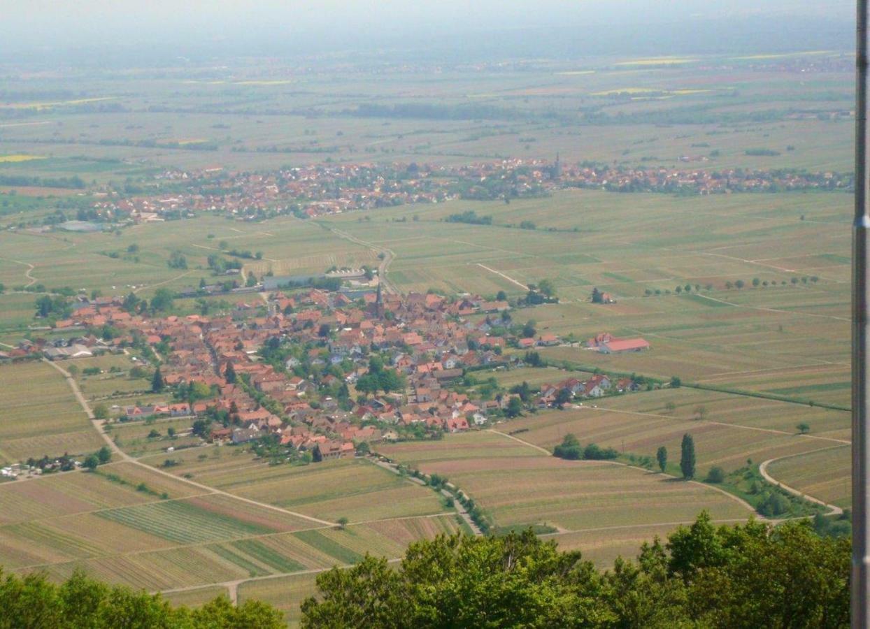 Phoenix Aus Der Asche Rhodt unter Rietburg Exteriör bild