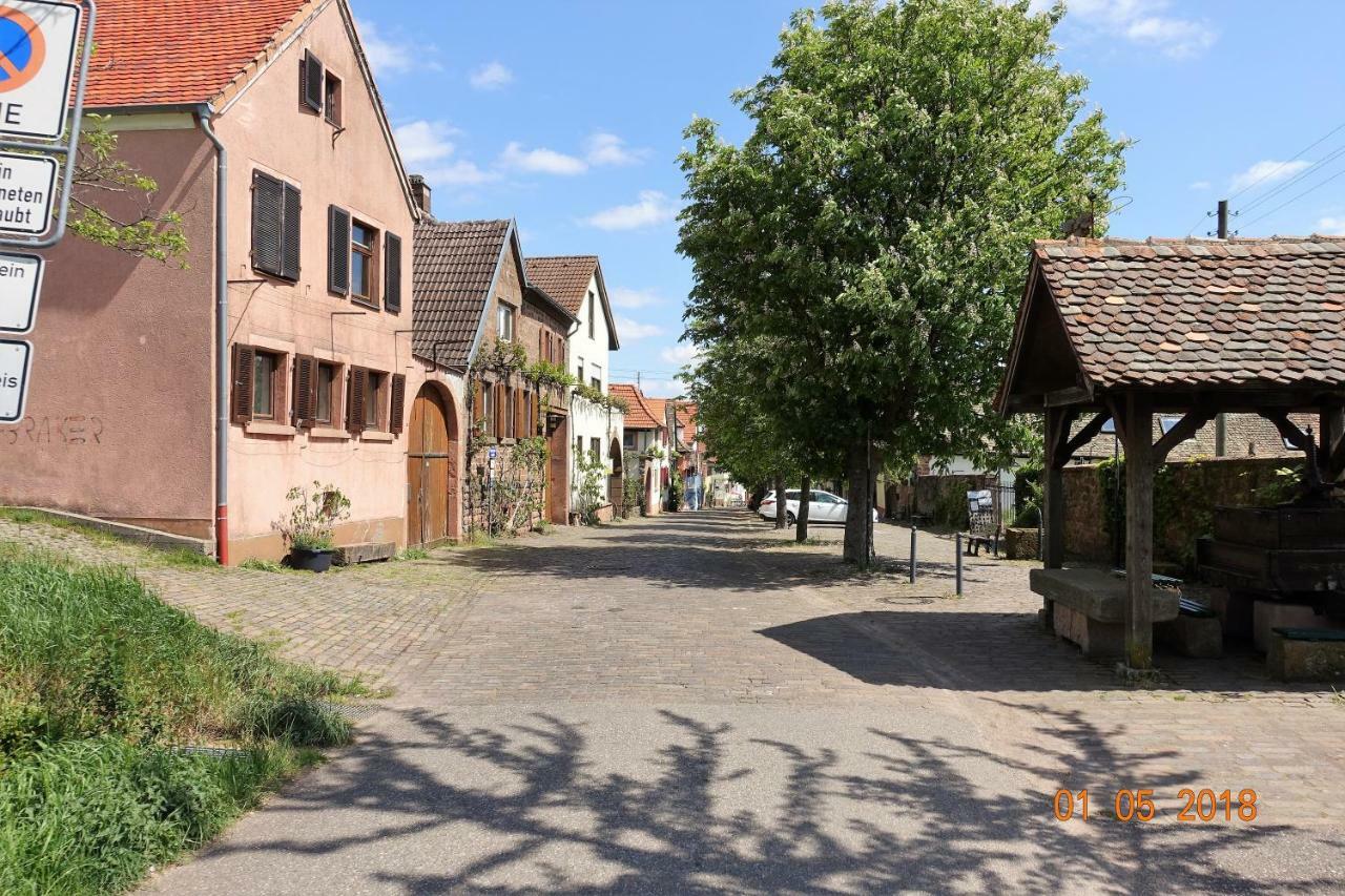Phoenix Aus Der Asche Rhodt unter Rietburg Exteriör bild